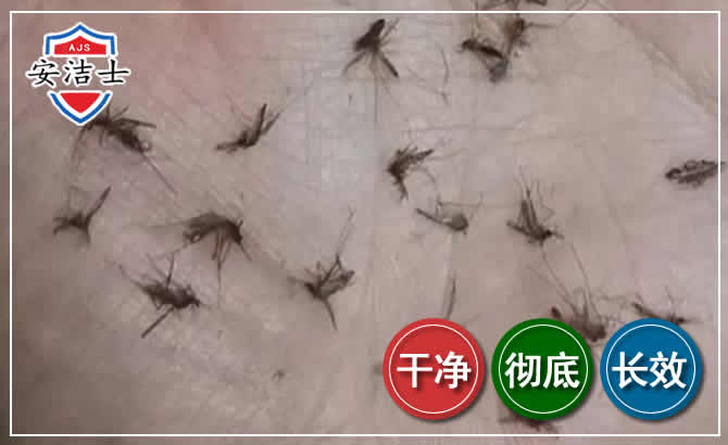临平区蚊子防治-灭蚊