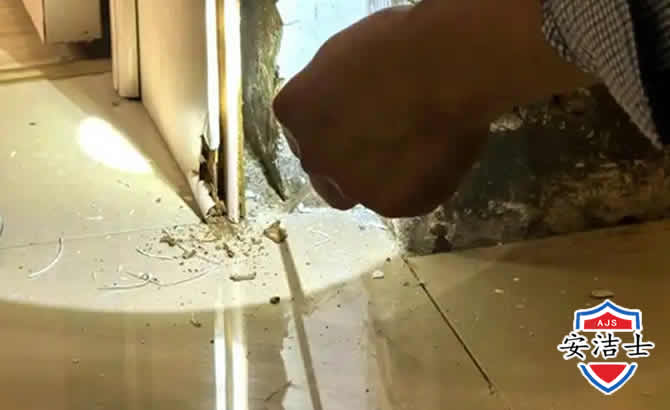 临平区房屋建筑防治白蚁