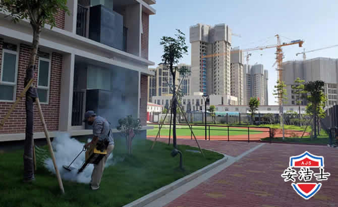 临平区工厂工地除白蚁