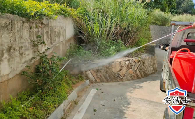 临平区道路堤坝白蚁防治
