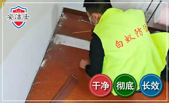 临平区除四害现场