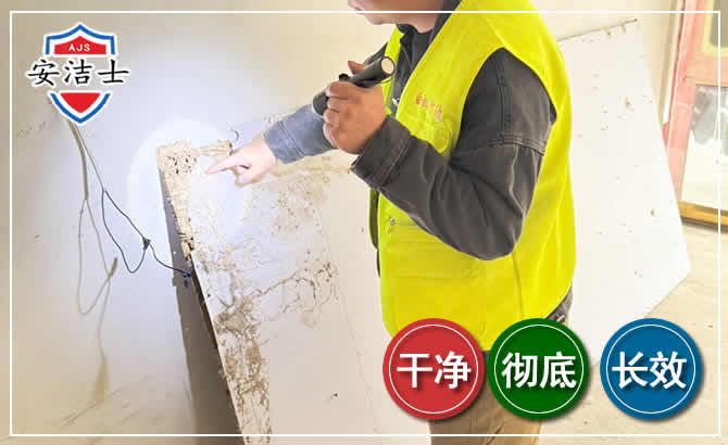 临平区除白蚁现场