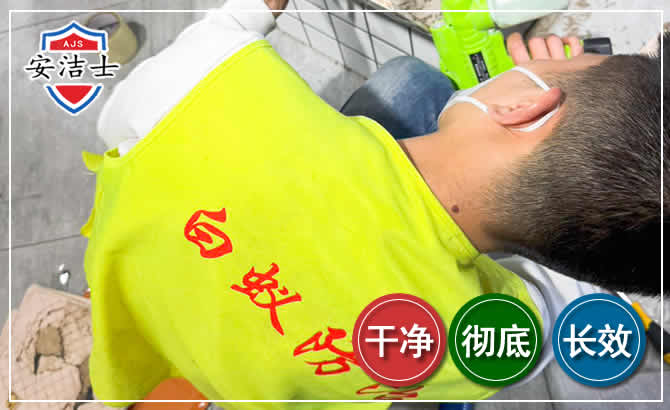 临平区白蚁根治现场